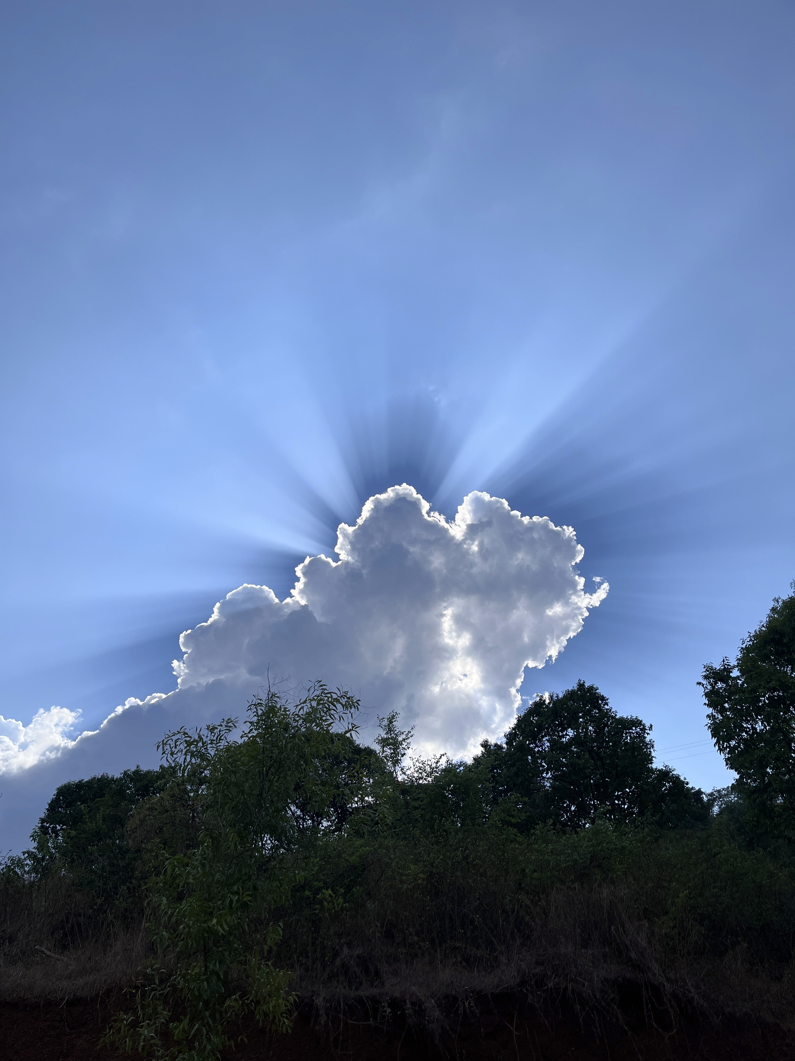 Michael Carter profile with a dynamic light